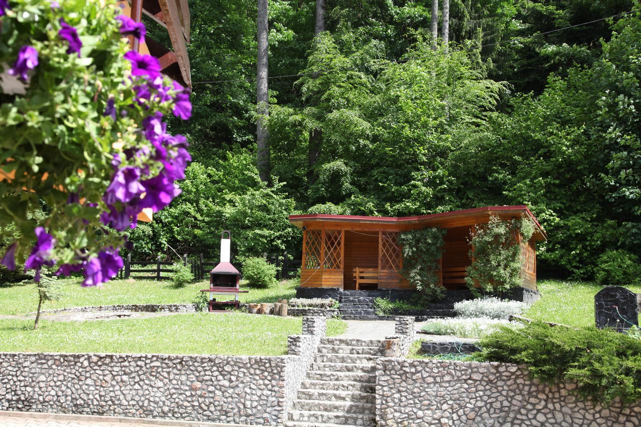 Pensiunea Mihaela Poiana Brasov Exterior photo